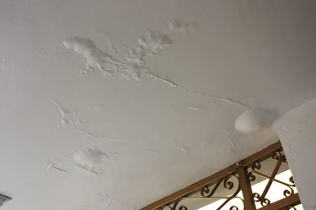 Active water dripping from damaged ceiling